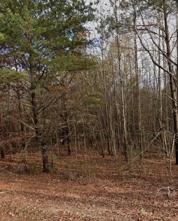 420 Sandusky Rd, Phil Campbell, AL 35581