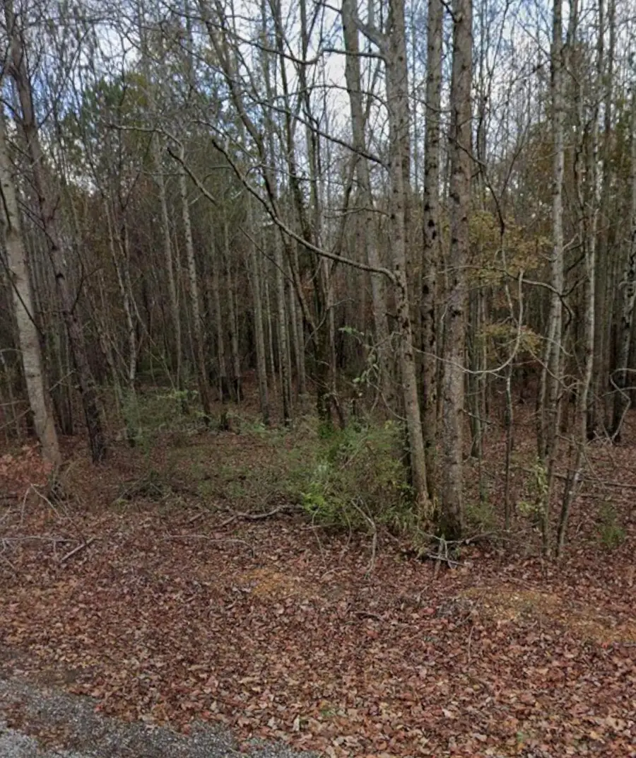 420 Sandusky Rd, Phil Campbell, AL 35581 - #2