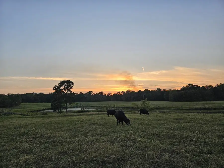 00 Little Egypt Rd, Tuscumbia, AL 35674 - #3