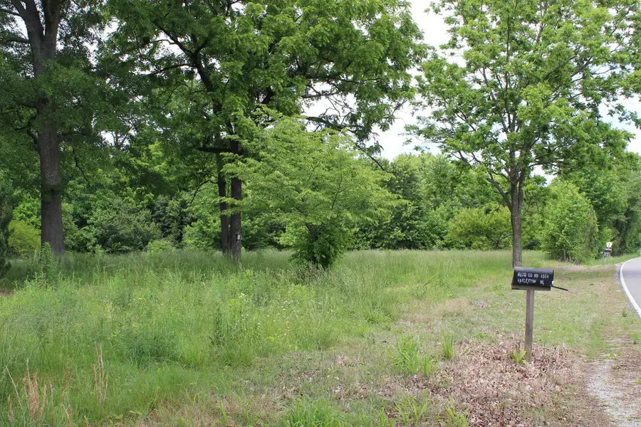 6070 Co Rd 1564, Baileyton, AL 35019 - #3