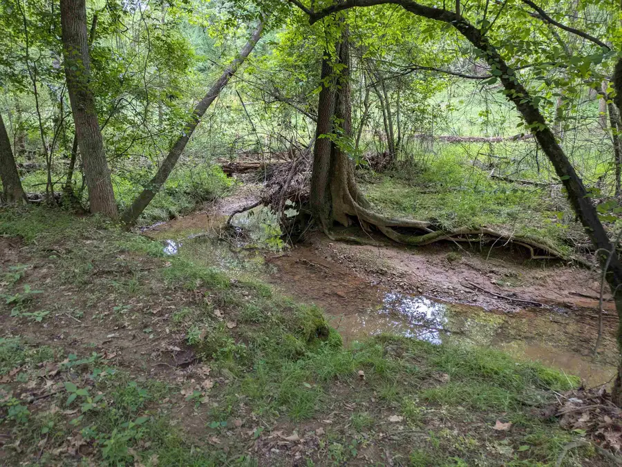 200 First Creek Rd, Rogersville, AL 35632 - #2