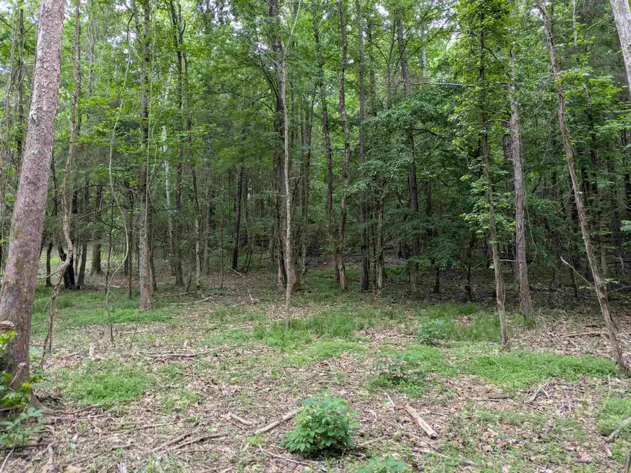 200 First Creek Rd, Rogersville, AL 35632 - #3