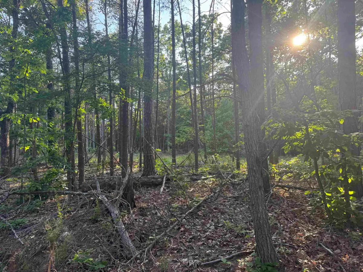 475 Summer House Rd, Cherokee, AL 35616 - #1