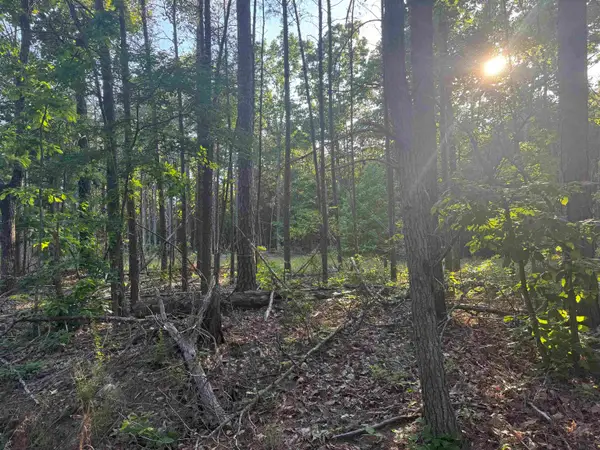 475 Summer House Rd, Cherokee, AL 35616