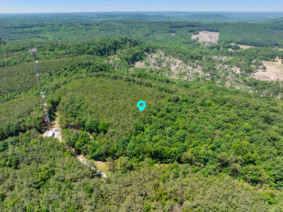 475 Summer House Rd, Cherokee, AL 35616 - #2