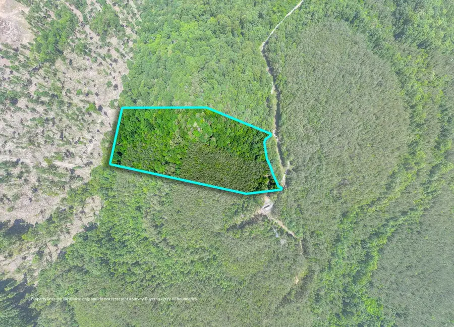 475 Summer House Rd, Cherokee, AL 35616 - #3