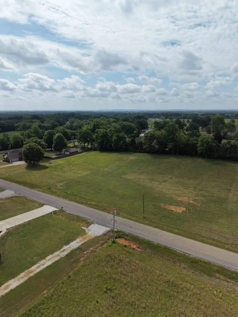 220 Mill Creek Ct, Leighton, AL 35646 - #2