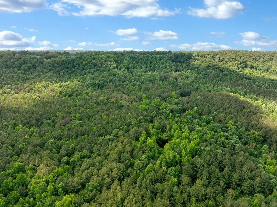 0 Co Rd 33, Hanceville, AL 35077 - #2