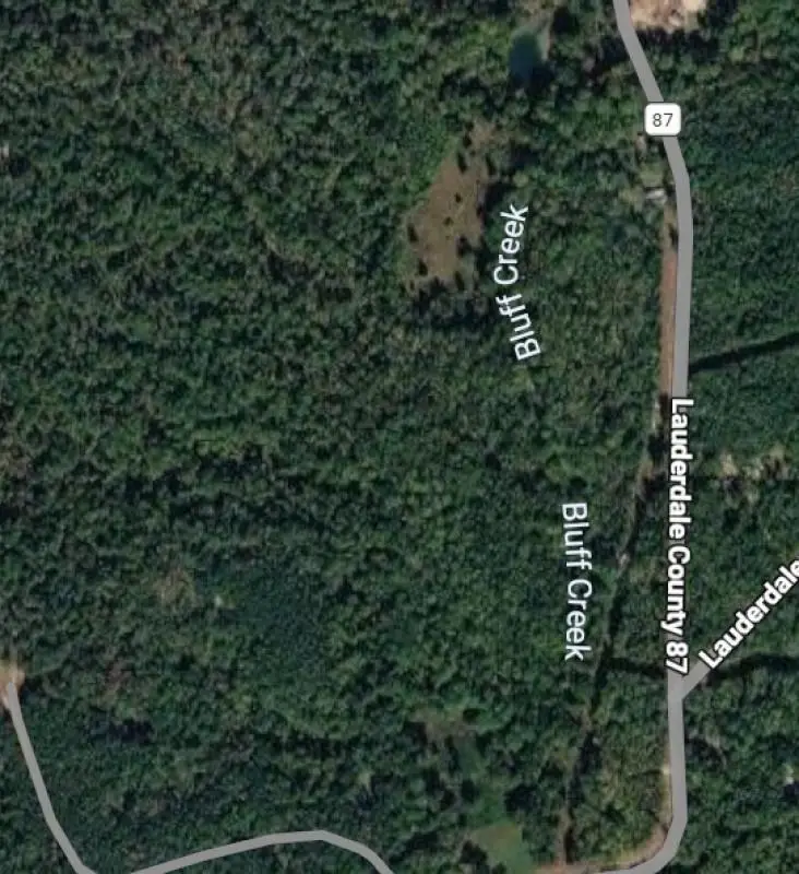3591 Co Rd 87, Florence, AL 35677 - #1