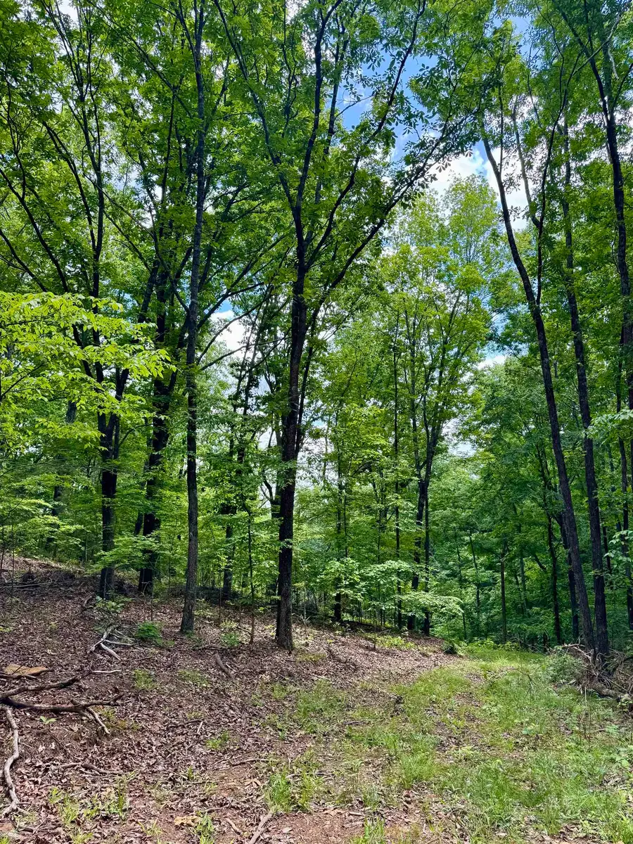 000 Co Rd 129, Waterloo, AL 35677 - #3