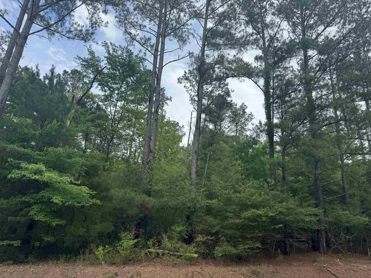 0 Co Rd 747, Hanceville, AL 35077 - #1