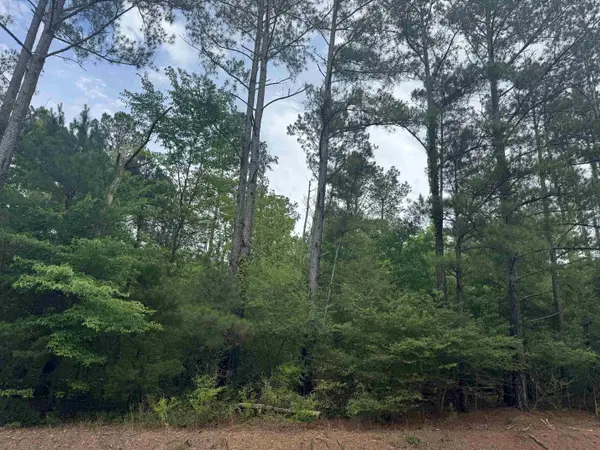 0 Co Rd 747, Hanceville, AL 35077