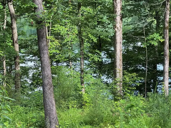 0 Lake Dr, Logan, AL 35098