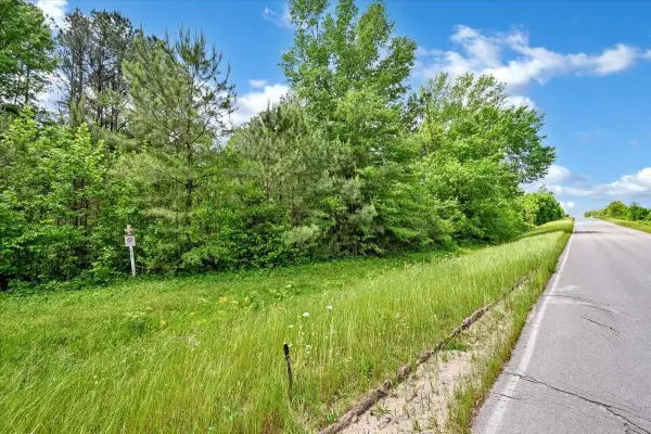 Lot 1 E Lacon Rd, Falkville, AL 35622