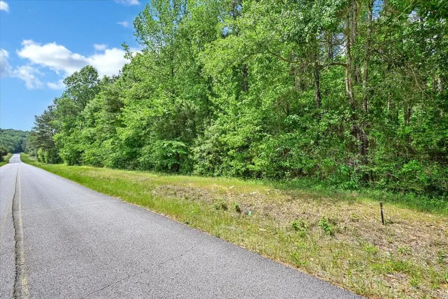 Lot 2 E Lacon Rd, Falkville, AL 35622 - #2