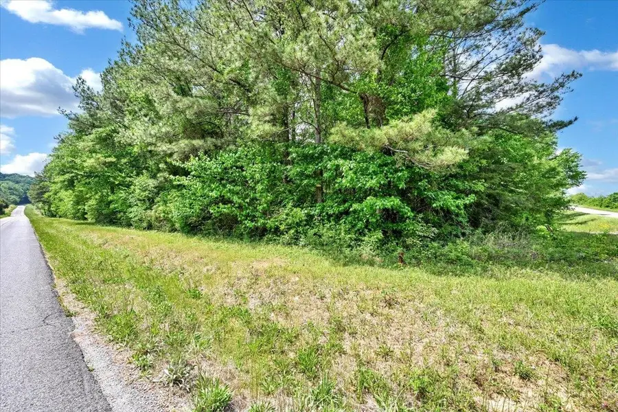 Lot 2 E Lacon Rd, Falkville, AL 35622 - #3