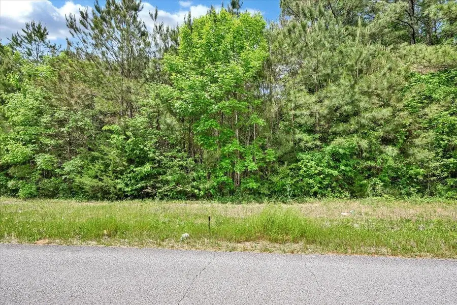 Lot 4 Mill Creek Rd, Falkville, AL 35622 - #3