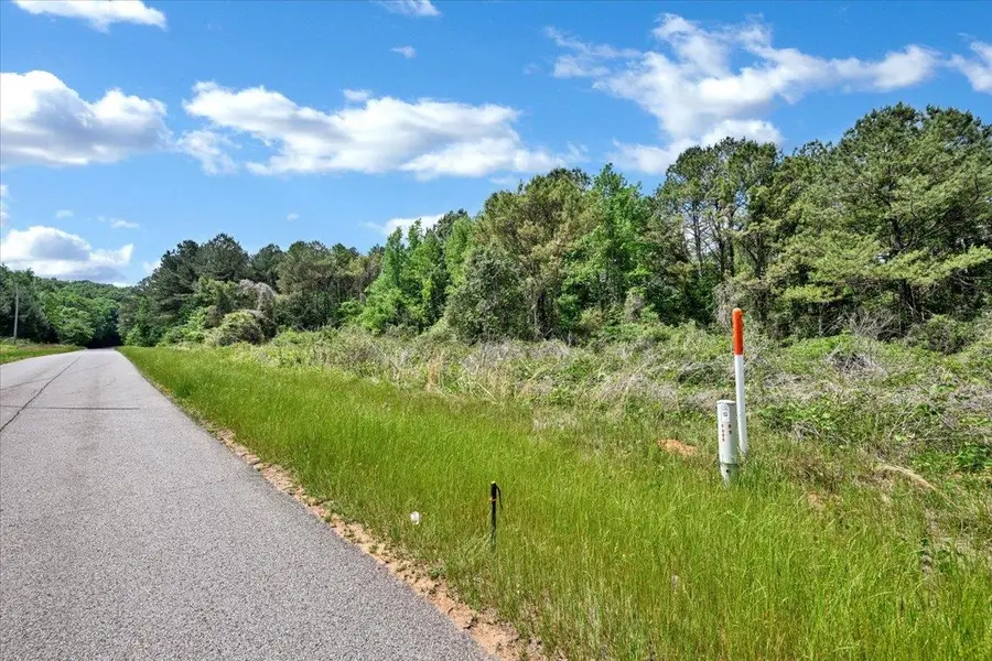 Lot 5 Mill Creek Rd, Falkville, AL 35622 - #2