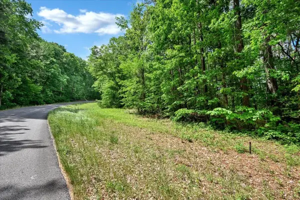 Lot 8 Mill Creek Rd, Falkville, AL 35622
