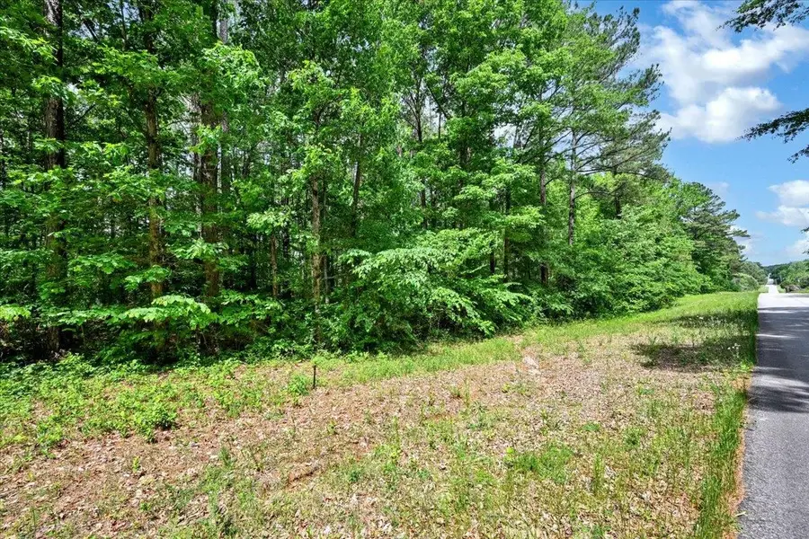 Lot 8 Mill Creek Rd, Falkville, AL 35622 - #2