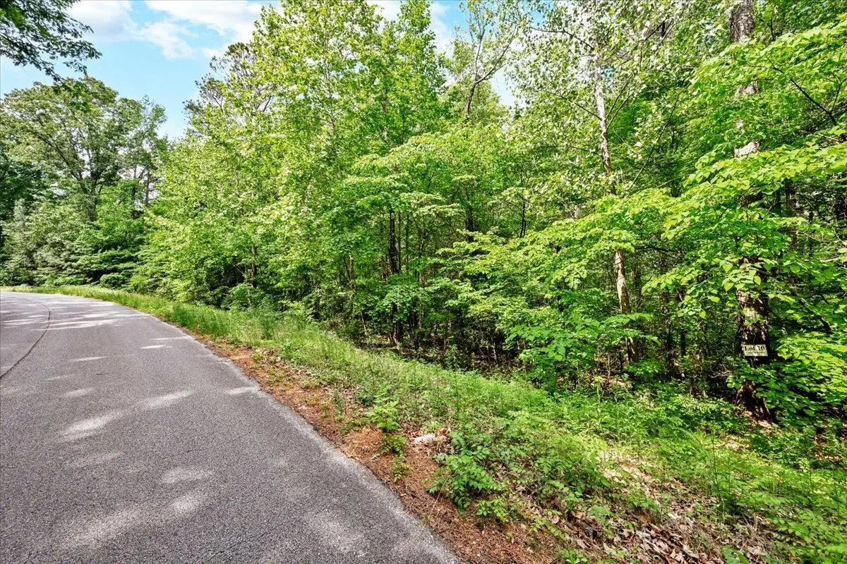 Lot 10 Mill Creek Rd, Falkville, AL 35622 - #1