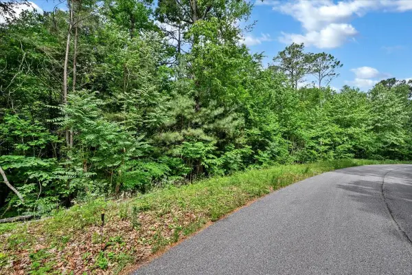 Lot 11 Mill Creek Rd, Falkville, AL 35622