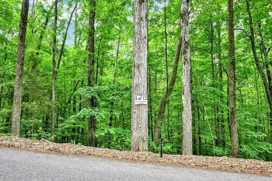 Lot 12 Mill Creek Rd, Falkville, AL 35622 - #2