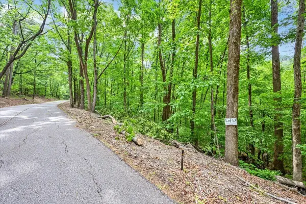 Lot 13 Mill Creek Rd, Falkville, AL 35622