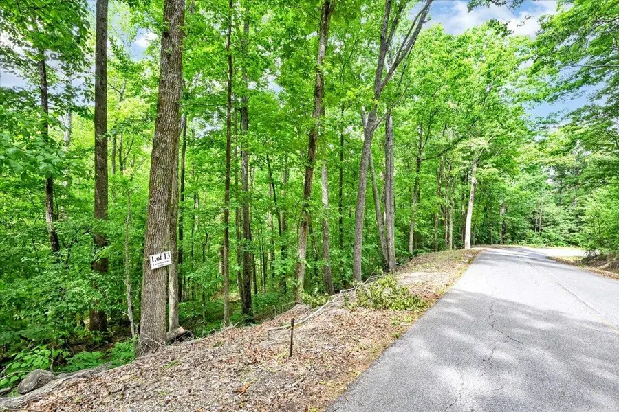 Lot 13 Mill Creek Rd, Falkville, AL 35622 - #2