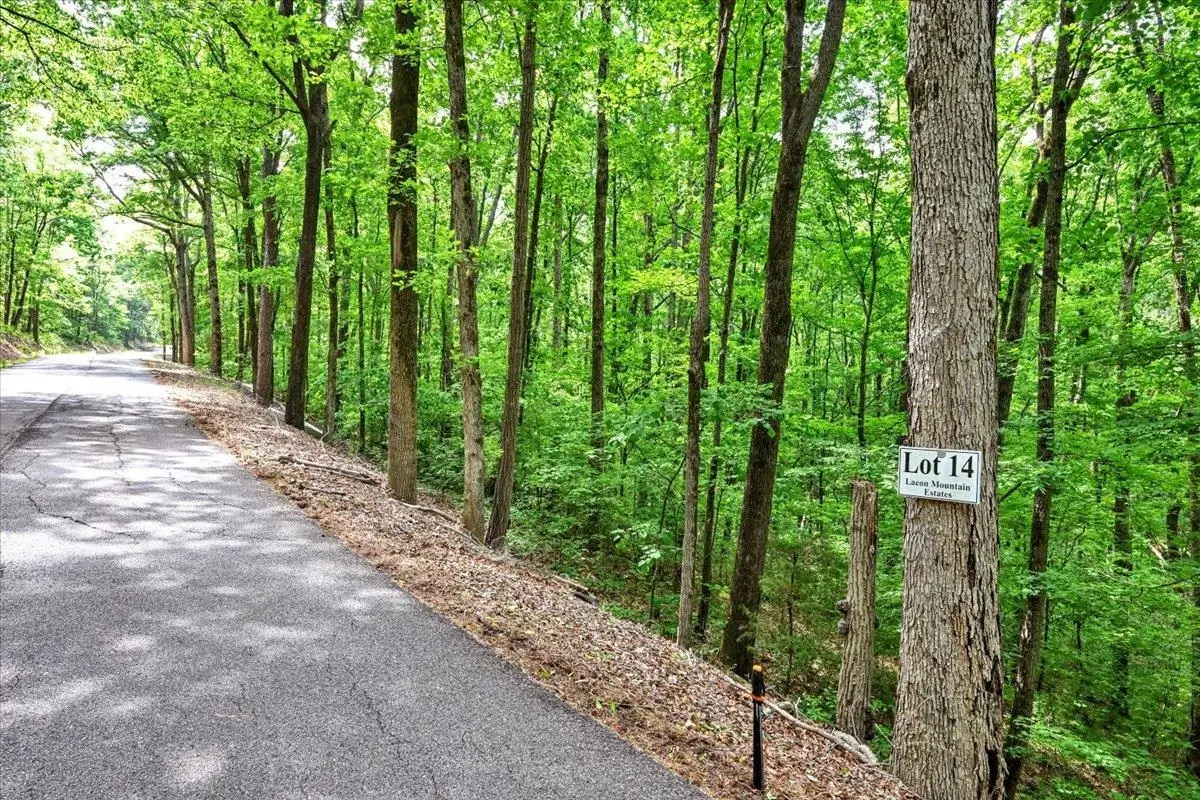 Lot 14 Mill Creek Rd, Falkville, AL 35622 - #1