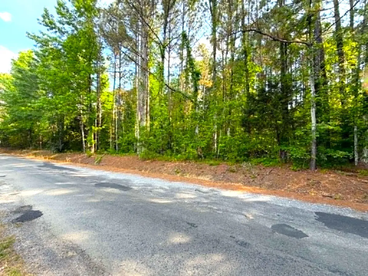 00 Co Rd 852, Crane Hill, AL 35053 - #1