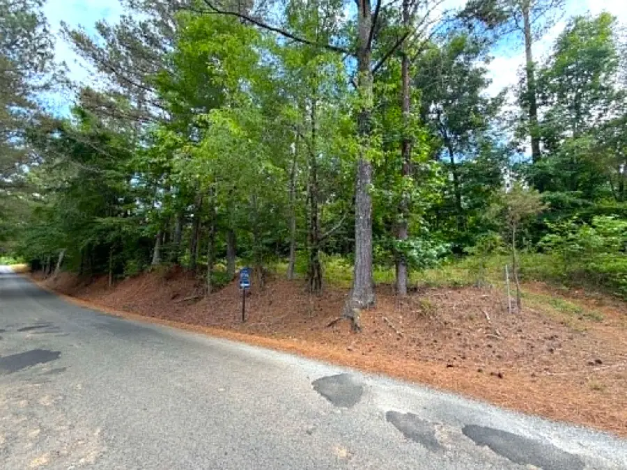 00 Co Rd 852, Crane Hill, AL 35053 - #2