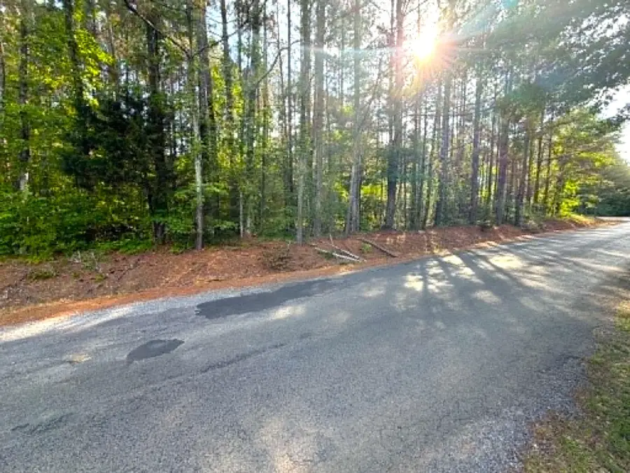 00 Co Rd 852, Crane Hill, AL 35053 - #3