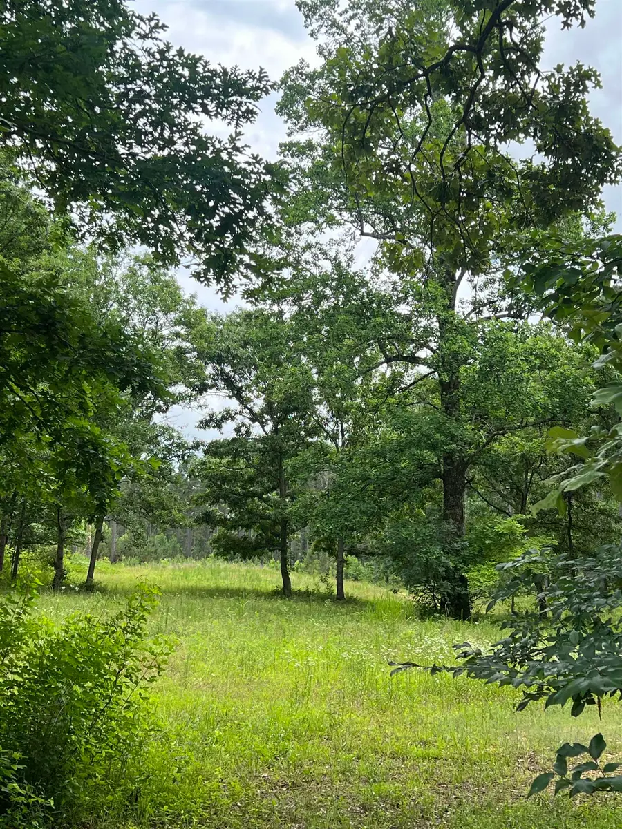0 White Pike, Cherokee, AL 35616 - #2