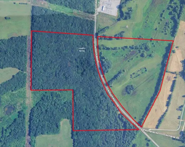 1990 Antioch Rd, Somerville, AL 35670