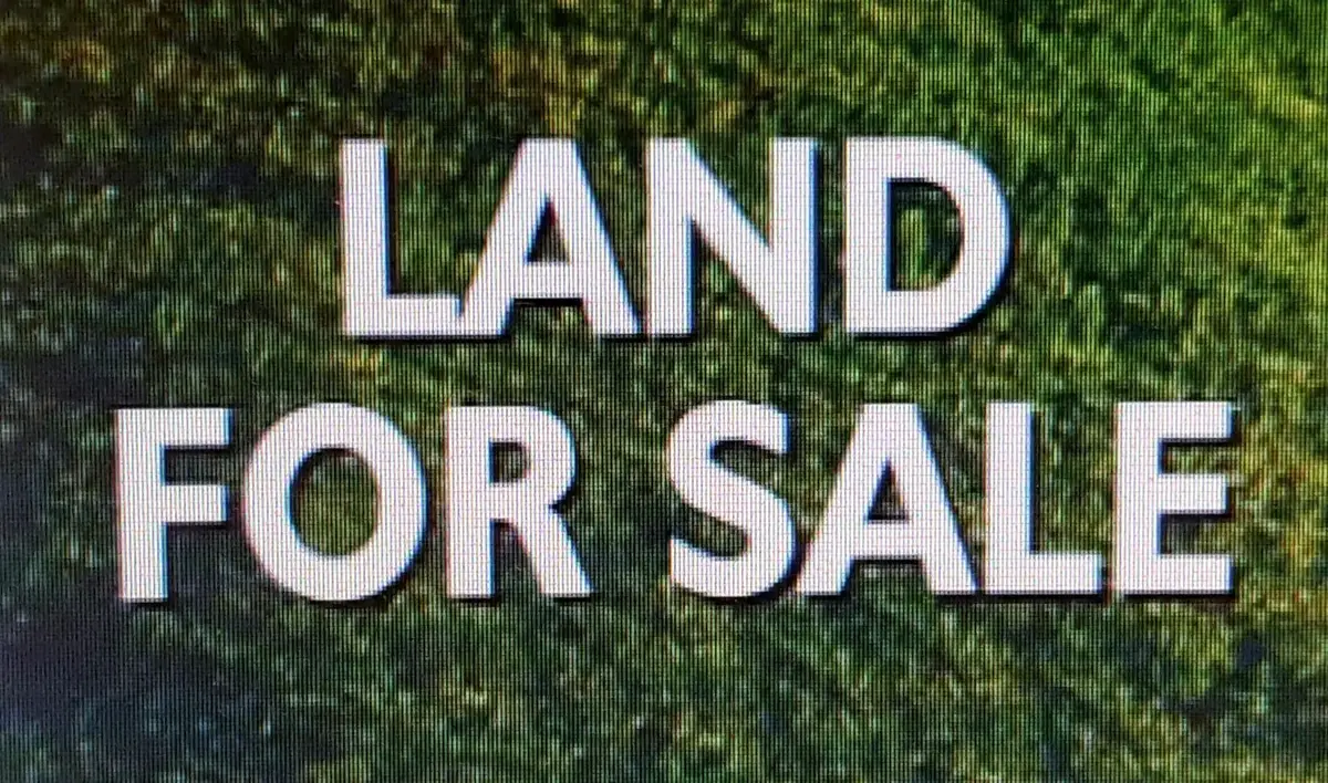 00 Hwy 101, Town Creek, AL 35672 - #1