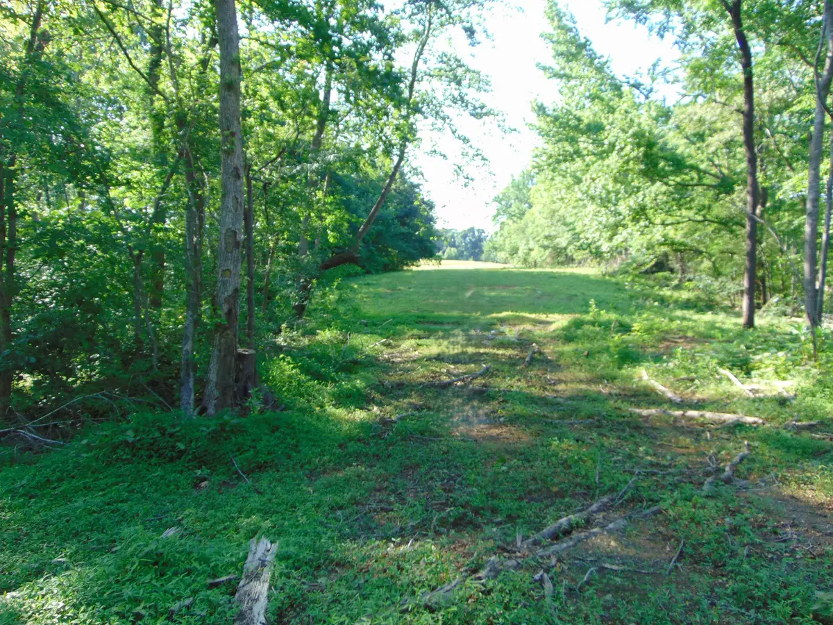 1245 Co Rd 496, Lexington, AL 35648 - #1