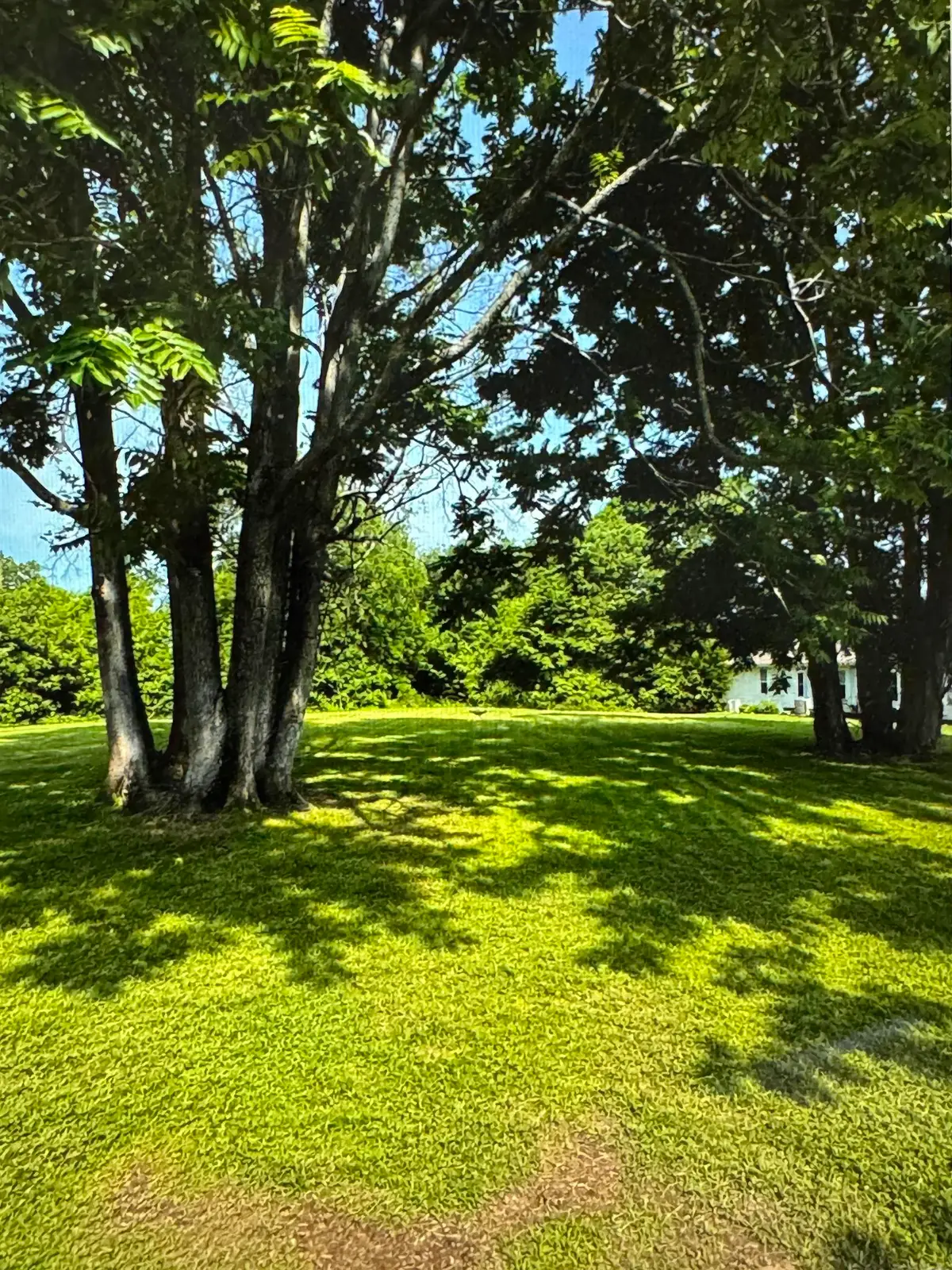 0 Keller Ln, Tuscumbia, AL 35674 - #1