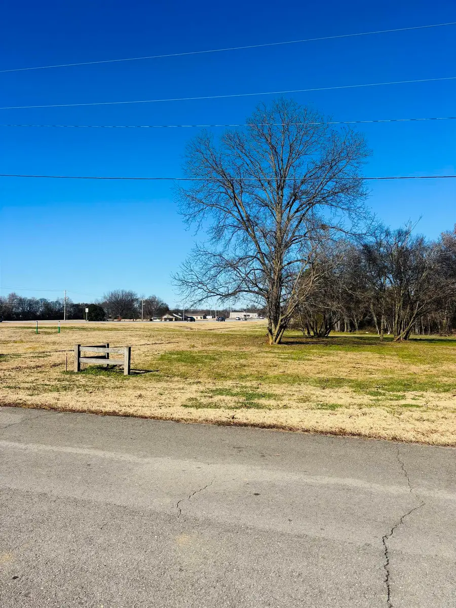 00 Lonnie Dr, Muscle Shoals, AL 35661 - #3