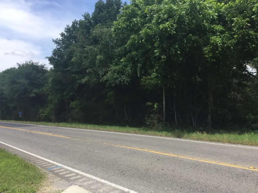 0000 Hwy 69, Baileyton, AL 35019 - #3