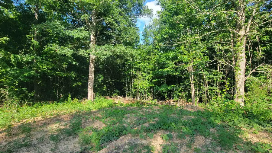 0 W Mt Mills Rd, Tuscumbia, AL 35674 - #3