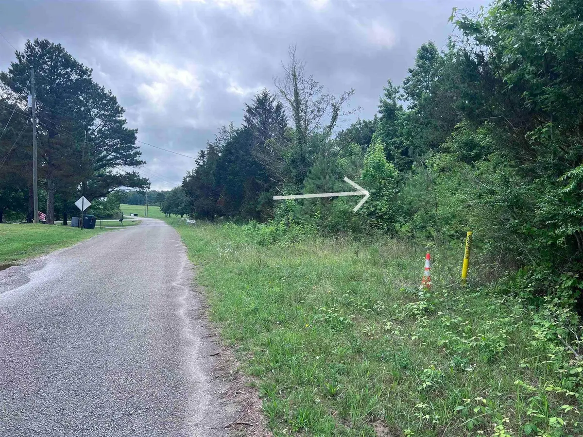 311 CR 3410 Co Rd 3410, Haleyville, AL 35565 - #1