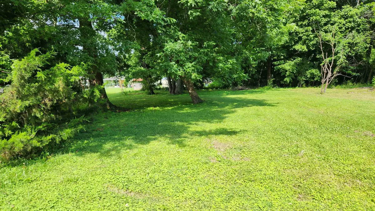 0 Alexander St, Cherokee, AL 35616 - #1