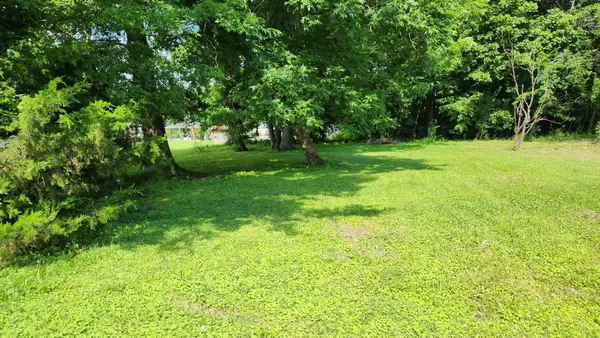 0 Alexander St, Cherokee, AL 35616