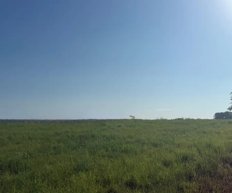 LOT 32 Co Rd 1464, Cullman, AL 35058 - #3