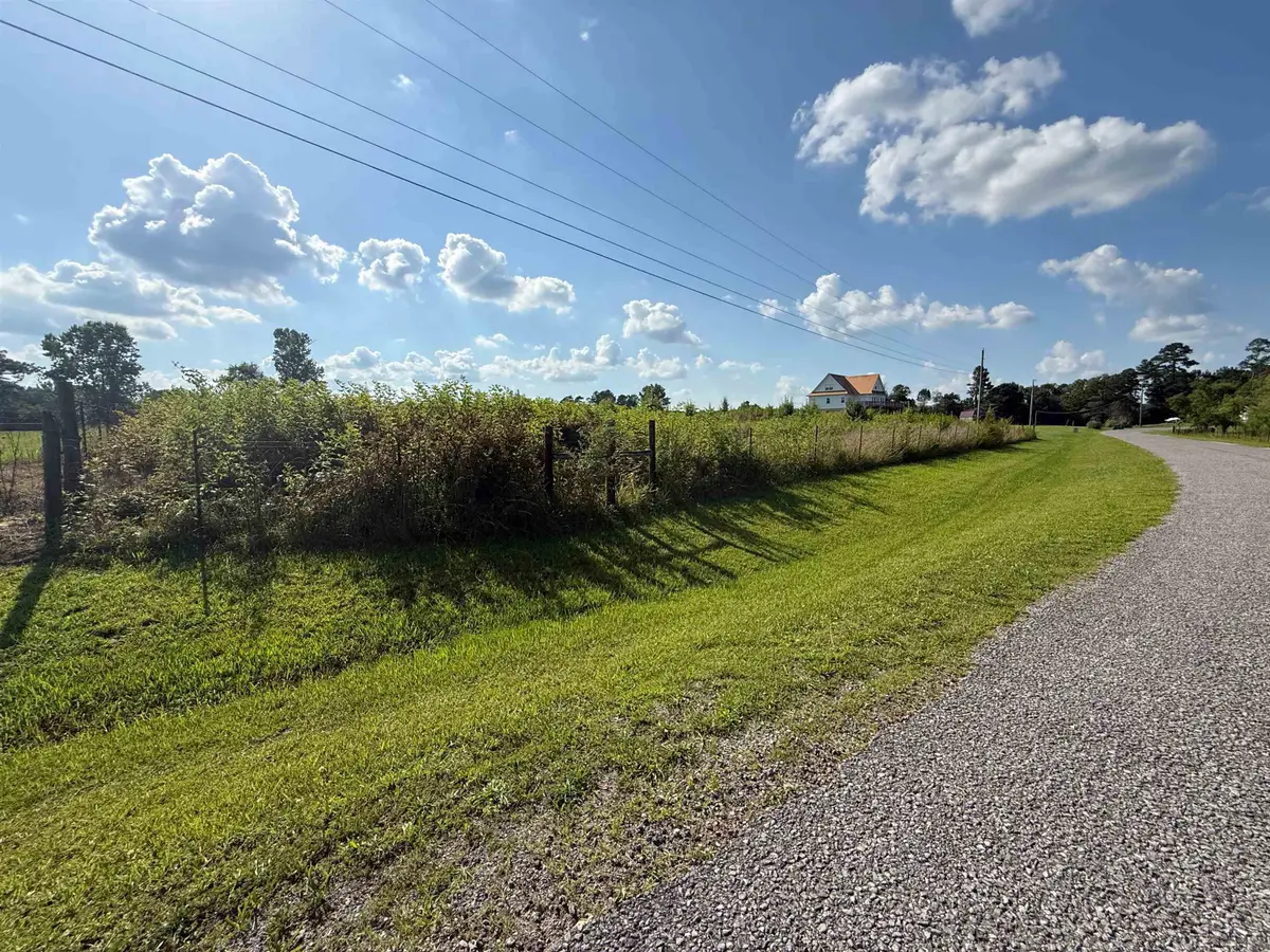 Lot 6 Co Rd 6901, Holly Pond, AL 35083 - #1