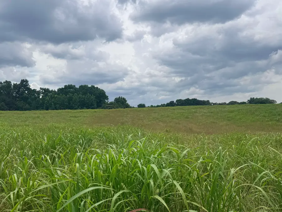 0 Co Rd 1682, Cullman, AL 35058 - #3