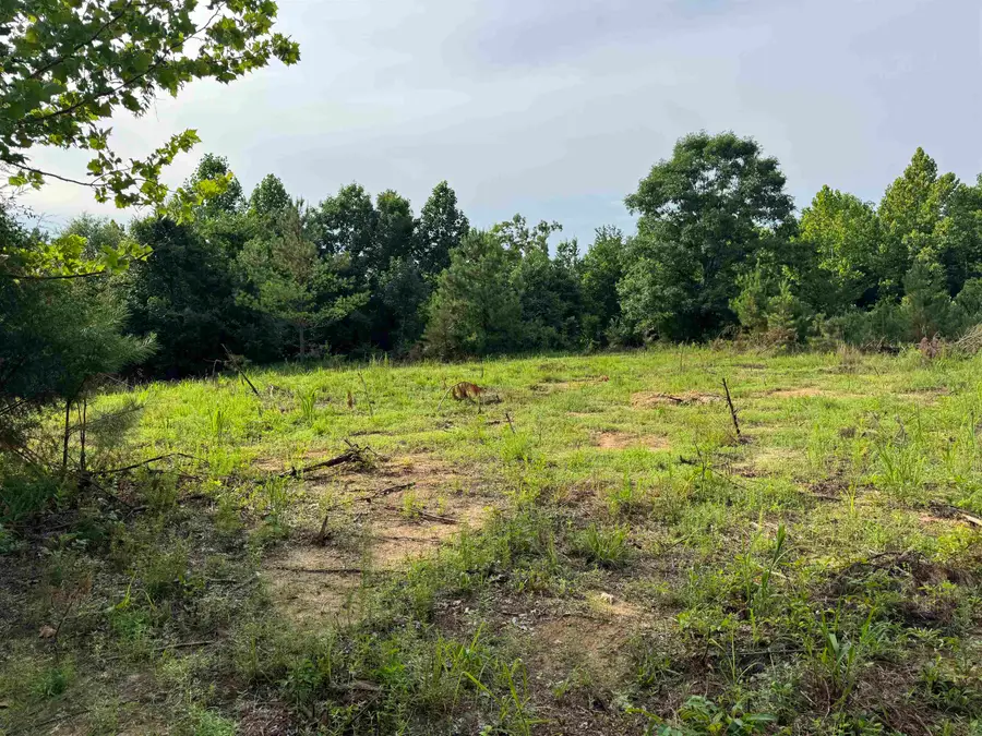 9835 Hwy 24, Vina, AL 35593 - #2