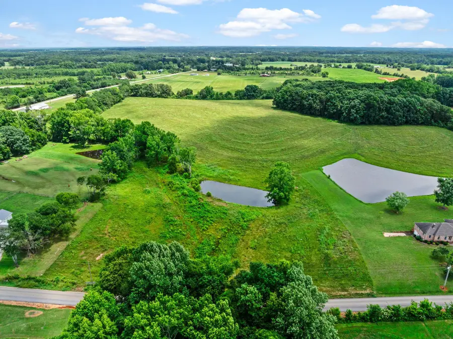 0 Co Rd 501, Anderson, AL 35610 - #2