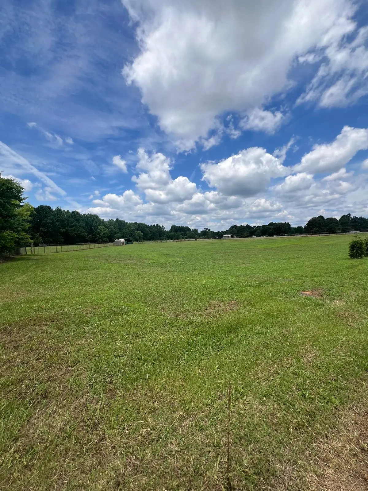 3933 Co Rd 33, Killen, AL 35645 - #1